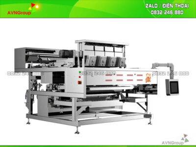 Máy bắn màu hạt điều nhân sống