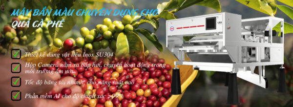banner máy bắn màu cà phê quả